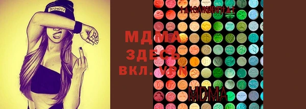 гашик Горняк