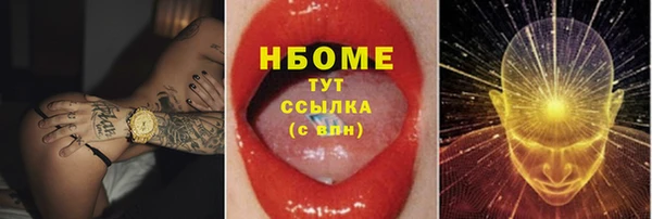 гашик Горняк