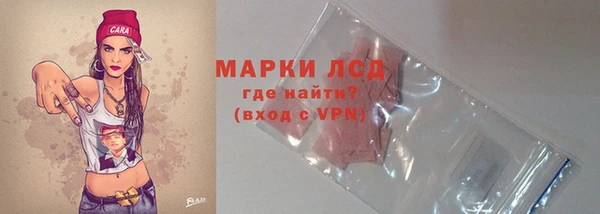 гашик Горняк