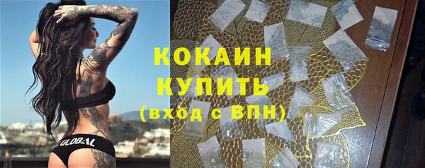 гашик Горняк