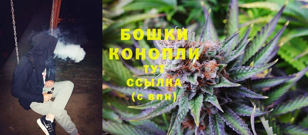 гашик Горняк