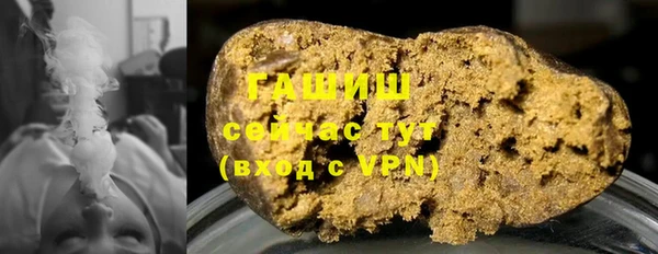 гашик Горняк