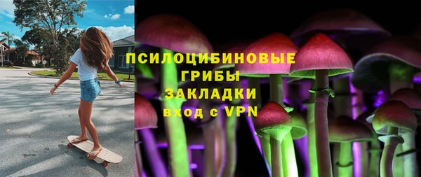 гашик Горняк