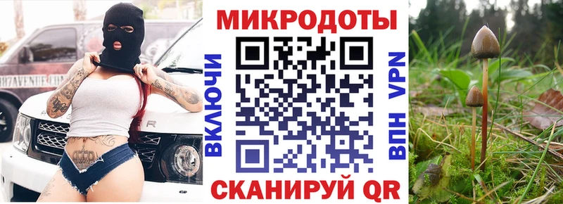 Псилоцибиновые грибы Magic Shrooms Купить Николаевск-на-Амуре